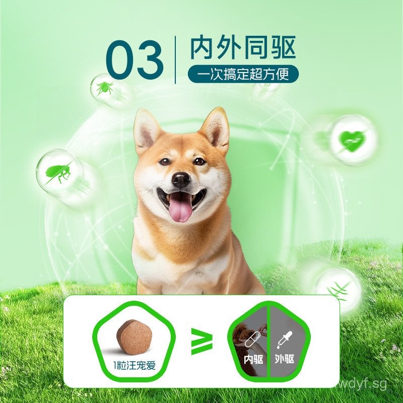 Wang Pet Compound Sarolana Chewable Tablets for Dogs, Internal and ...