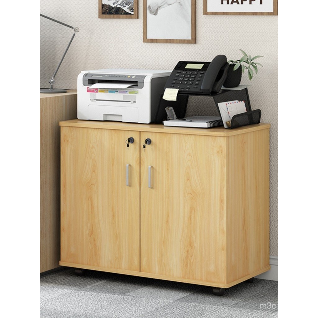 Office File Cabinet with Lock Double Door Storage Cabinet Organizer ...