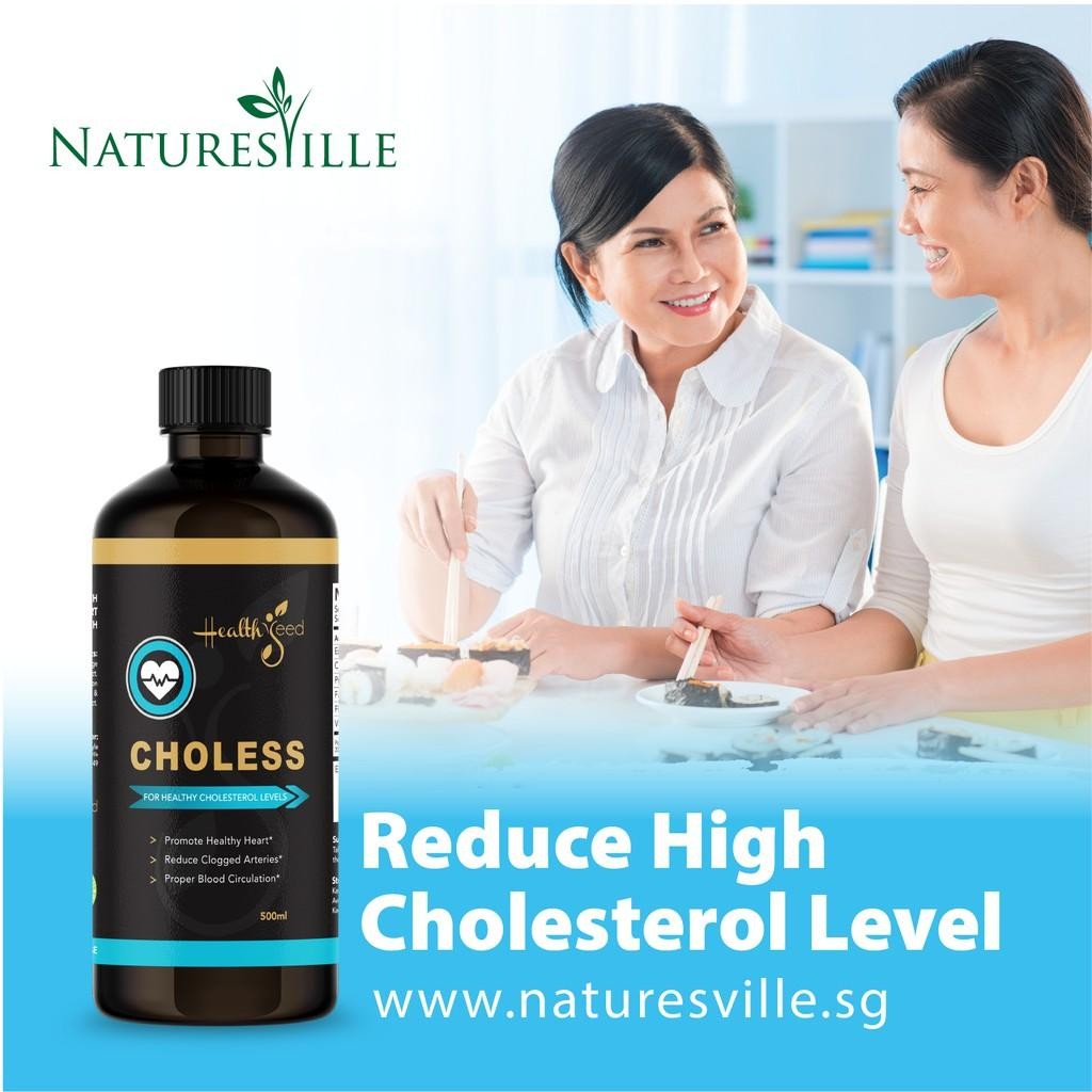 [SG STOCK] NV Choless - Liquid Supplement 500ml | Promote Healthy Heart ...