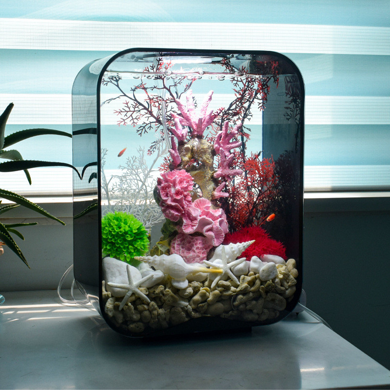 Small Goldfish Aquariums For Office photo
