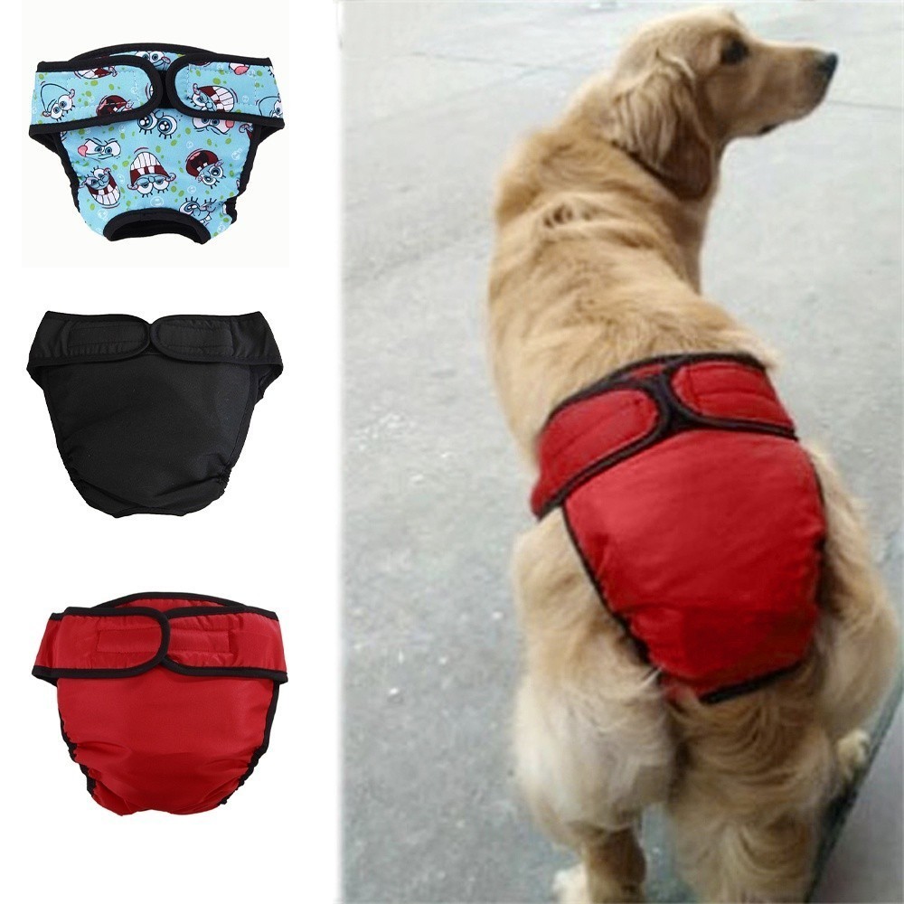 Big dog pants best sale