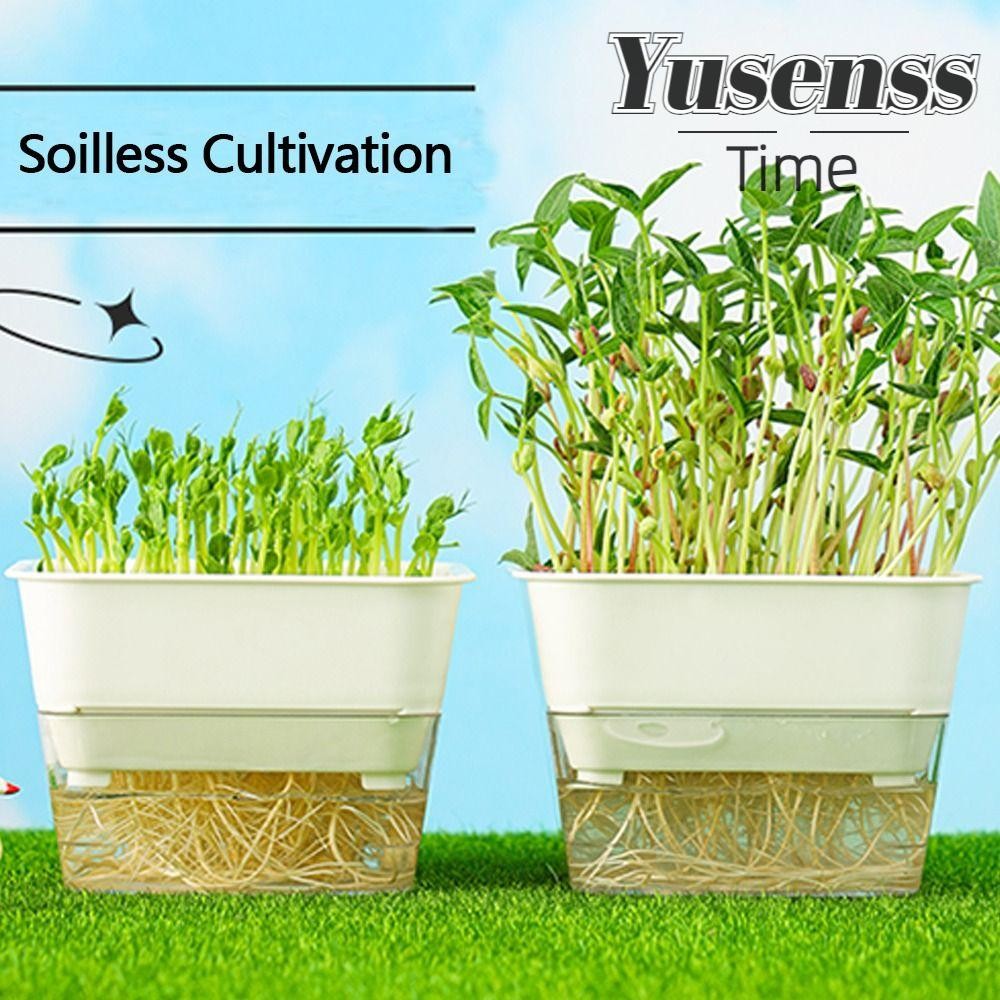 YUSENSS Hydroponic Sprouting Plate, Sprout Planting Helper Soilless ...