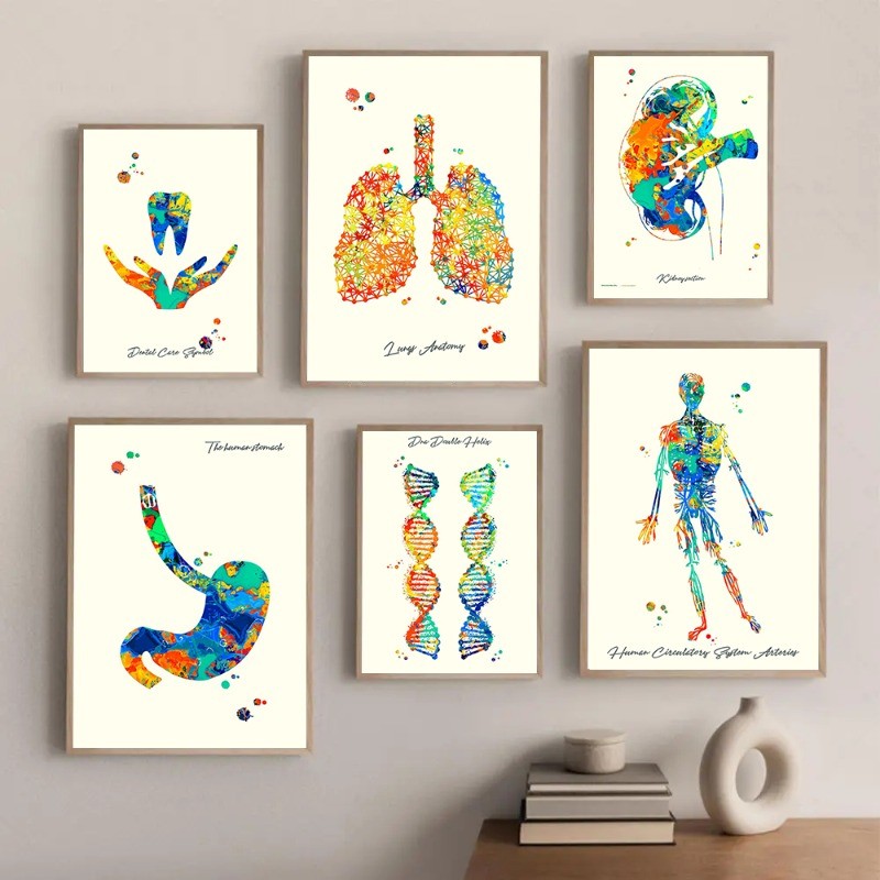 Human Head Torso Brain Stem Lungs Anatomy Posters Prints Canvas ...