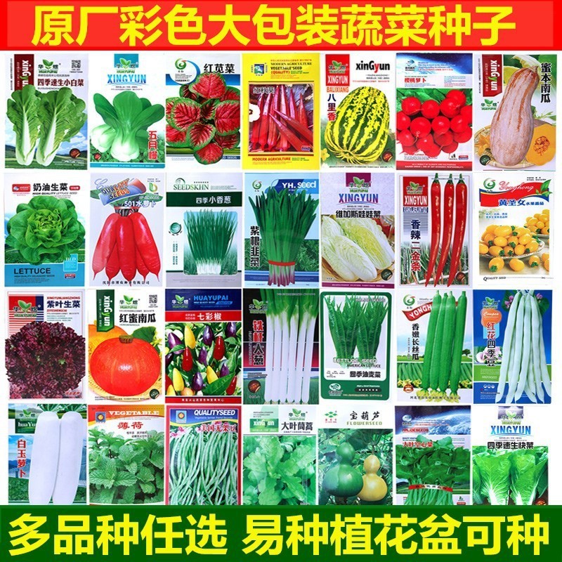 Vegetable Seeds Original Four Seasons Planting Garden Balcony Farm Pot 