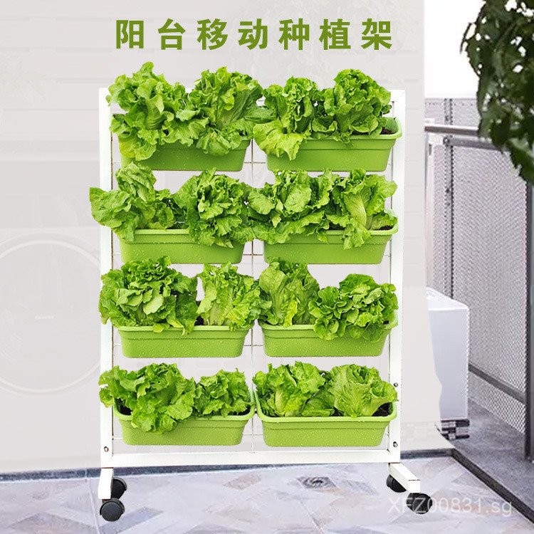 Iron Frame with Outdoor Vegetable Planting Multi-layer Flower Pot Plant ...