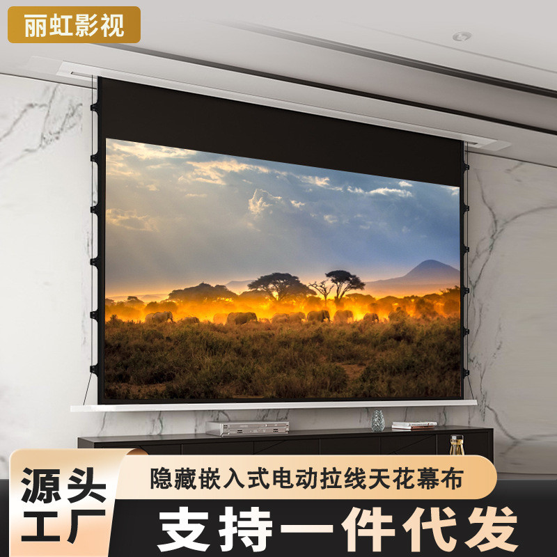 Hidden Embedded Projection Screen Home Theater Motorized Screen Voice ...
