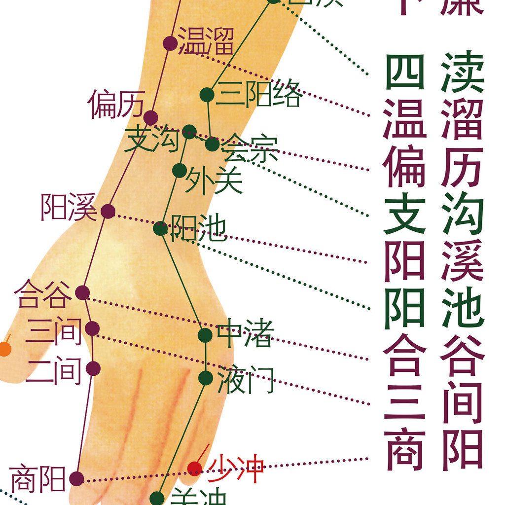 Human Acupoint Map Color Map Version Acupuncture Acupuncture ...