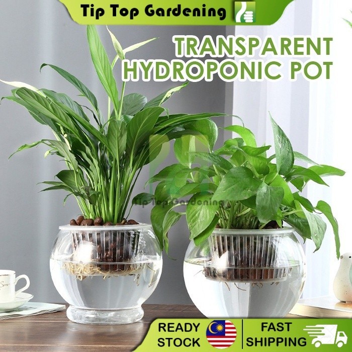 Garden Transparent Hydroponic Pot Hydroponic Plants Flower Pots Basin ...