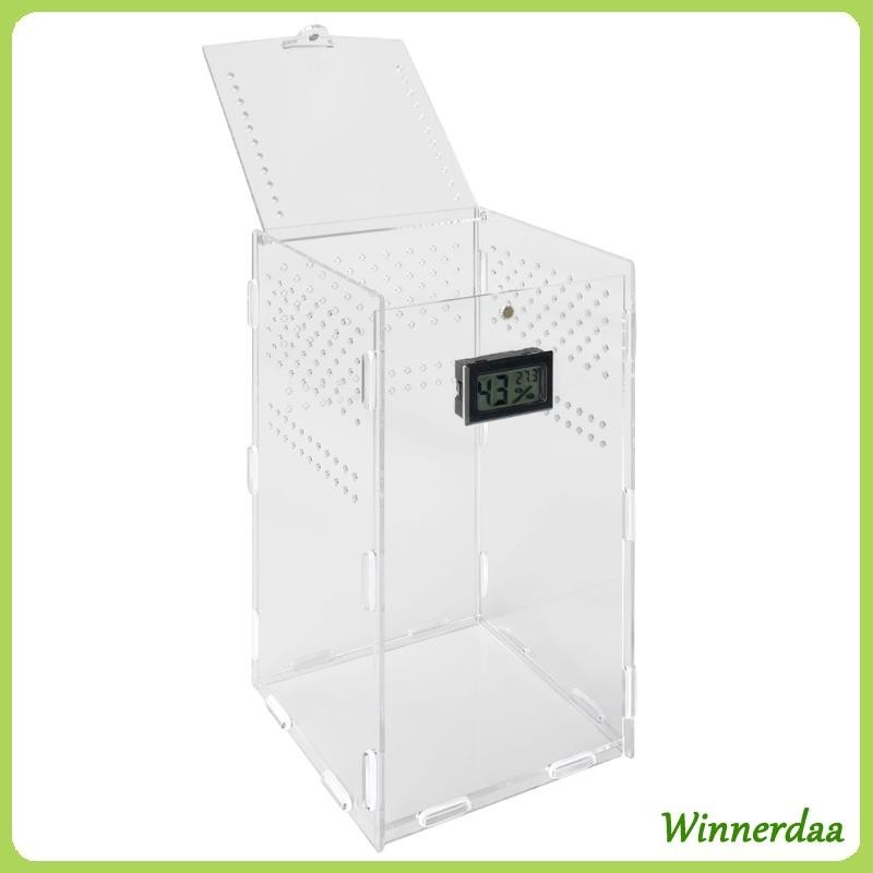 WINN Insect Feeding Box Clear Acrylic Container Terrariums for Spiders ...