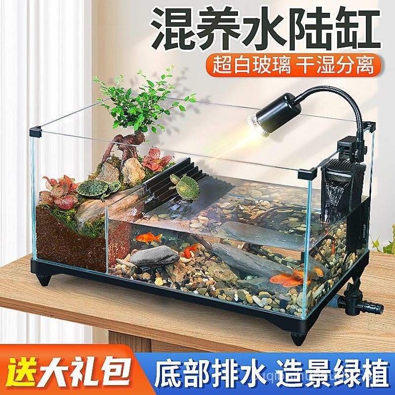 [4577People Collection]Turtle Tank with Sunbathing Platform, Glass ...