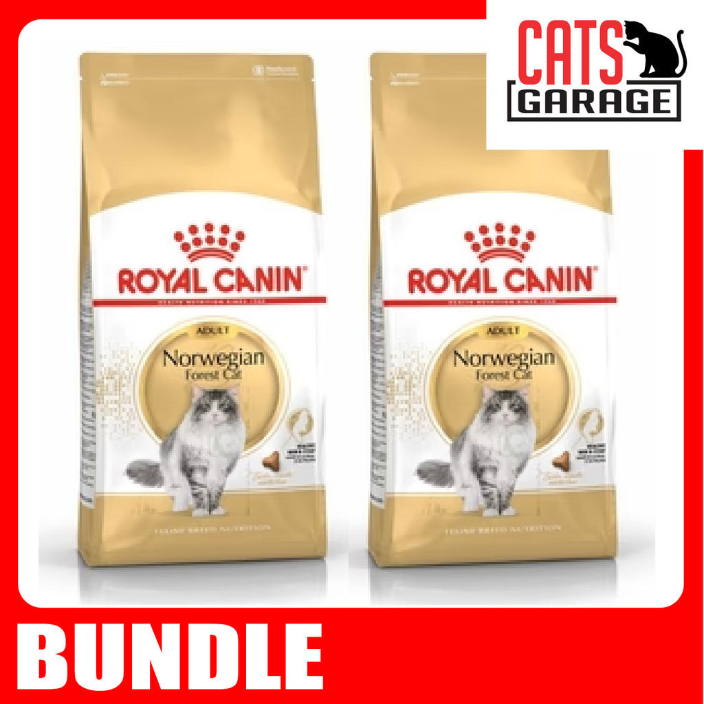 Royal canin norwegian forest cat 10kg sales