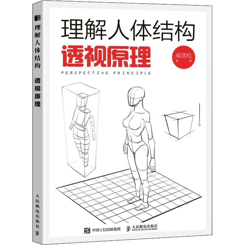 Understand Human Body Structure: Perspective Principle Human Body Form ...