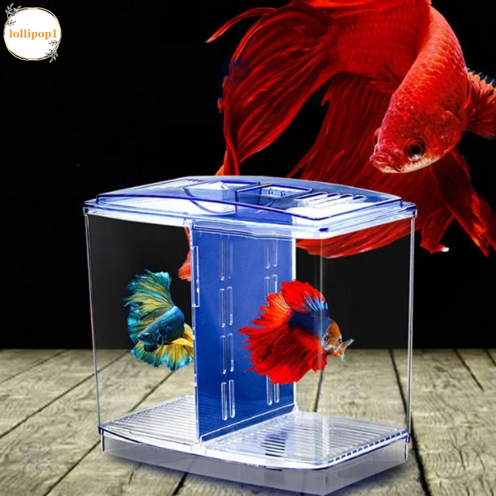 LOLLIPOP1 Betta Fish Tank, Plastic Transparent Double-grid Betta ...