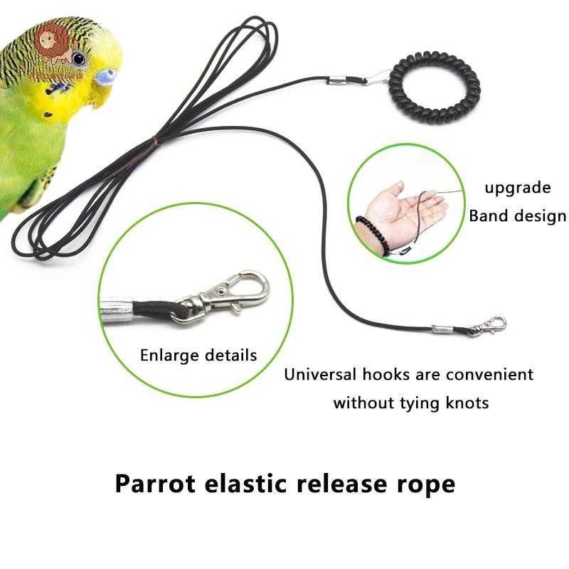 abongsea 1 PC Multiple Length Options Ultralight Parrot Release Rope ...