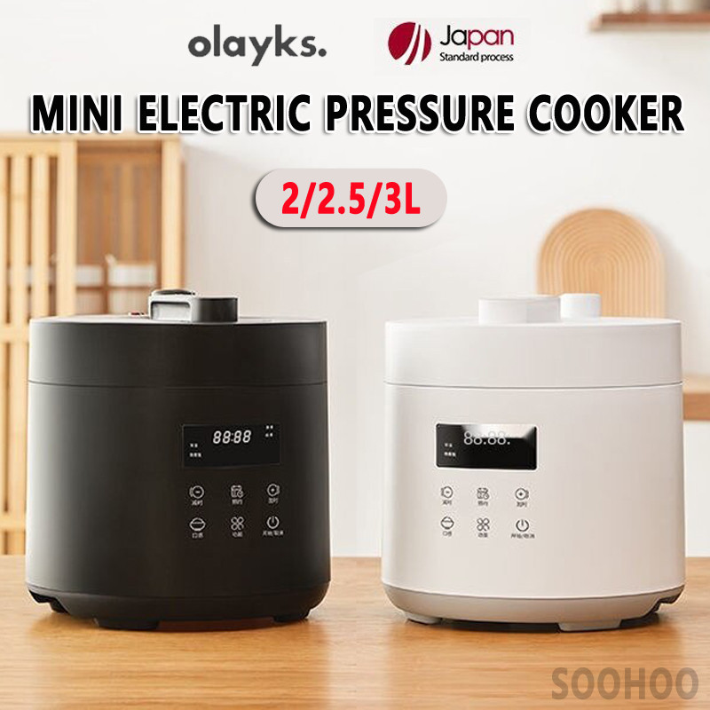 Pressure cooker 2.5 litre hotsell
