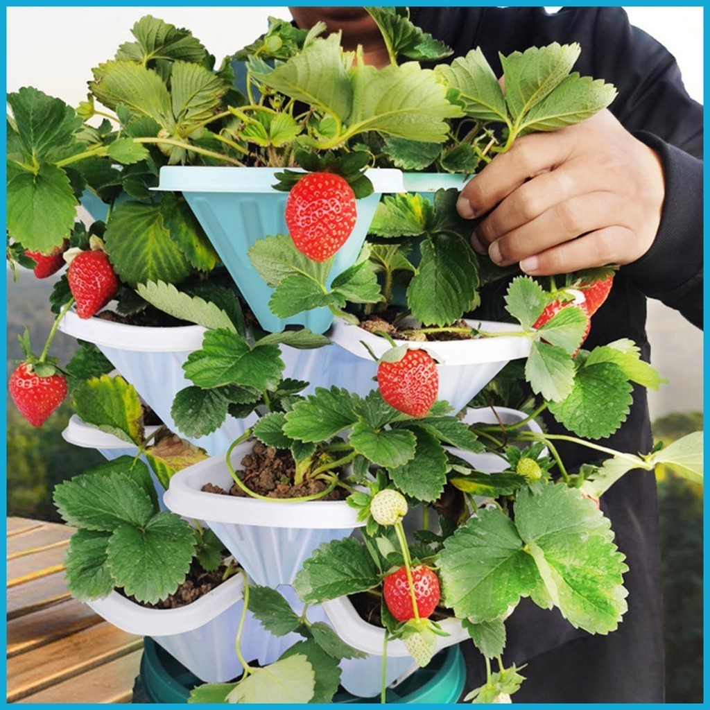 Vertical Garden Planter SpaceSaving 5Tier Stackable Flower Pot