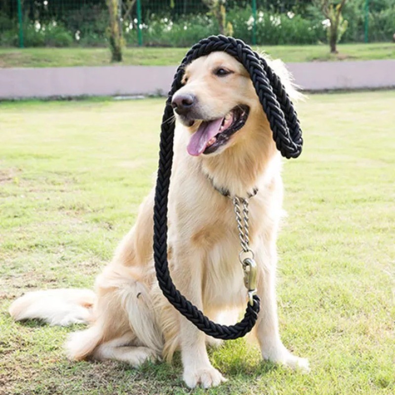 Double Strand Rope, Large Dog Leashes, Metal P Chain, Buckle National ...