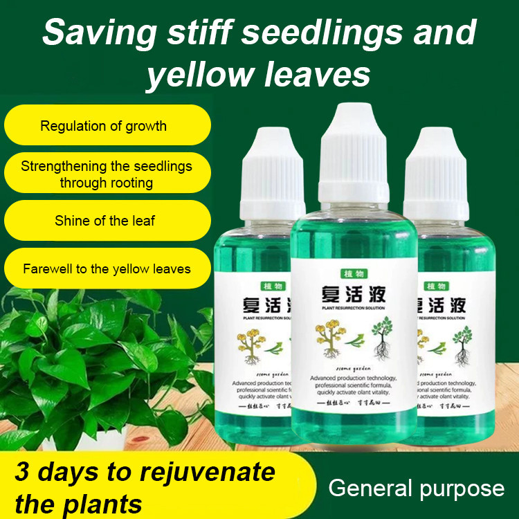 【SG STOCK】Plant Growth Enhancer Supplement/Universal Plant And Flower ...