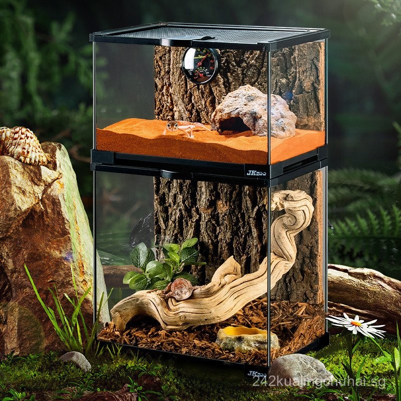 Reptile Pet Breeding Box Glass Tank Landscaping Gecko Lizard Tree ...