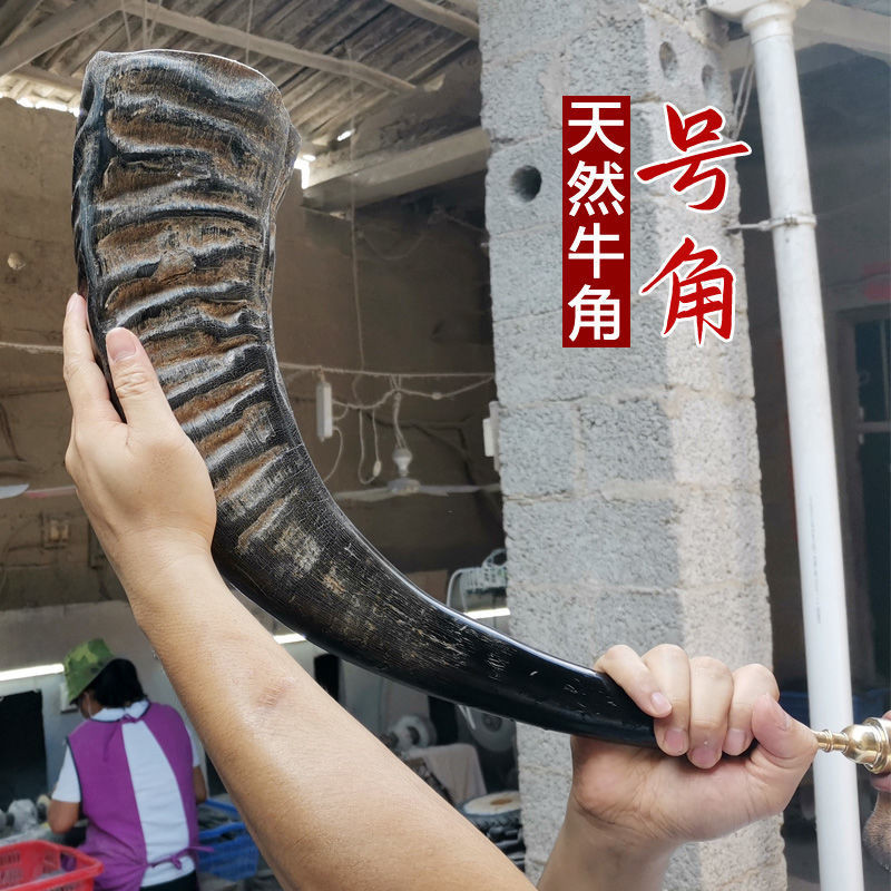 Blowable Black Buffalo Horn Horn Specialty Craft Trumpet Musical ...
