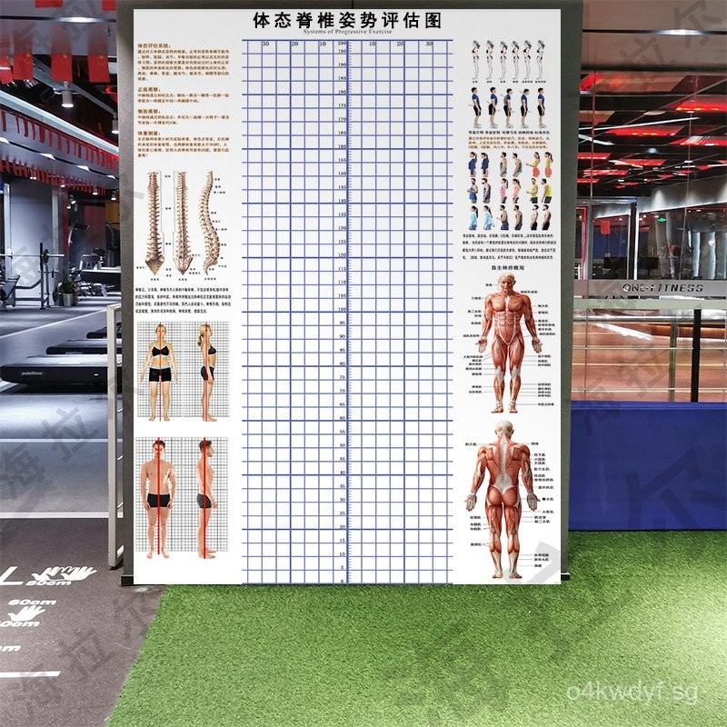 In-Stock Posture Assessment Chart Yoga Personal Training Body ...