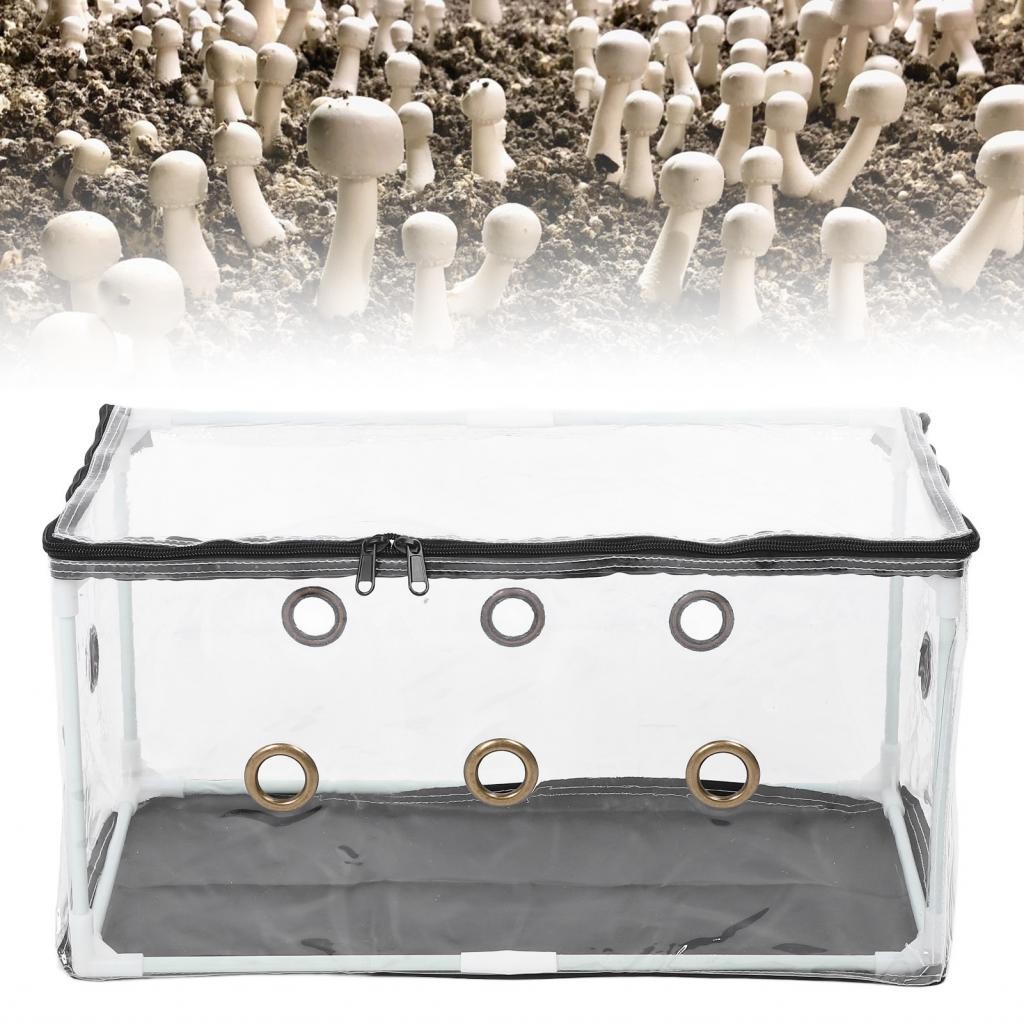 Still Air Box Mycology With o U Mushroom Growing Kit - Ideal For