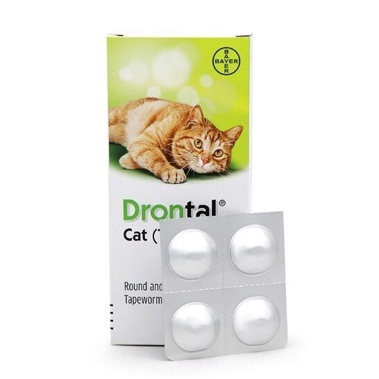 Bayer Cat Deworming Medicine (1 Tablet only) Shopee Singapore