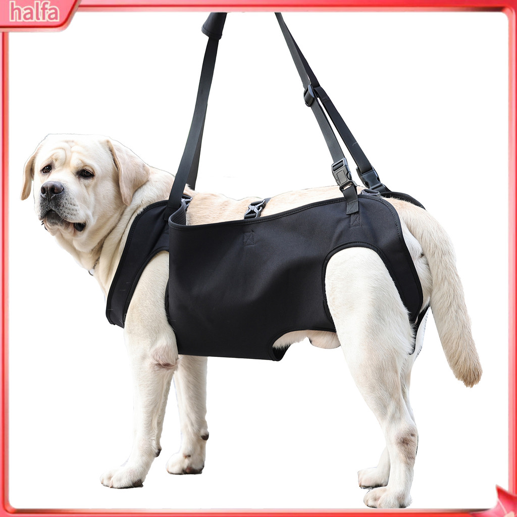 Arthritis Aid for Dogs Dog Support Harness Adjustable Dog Lift