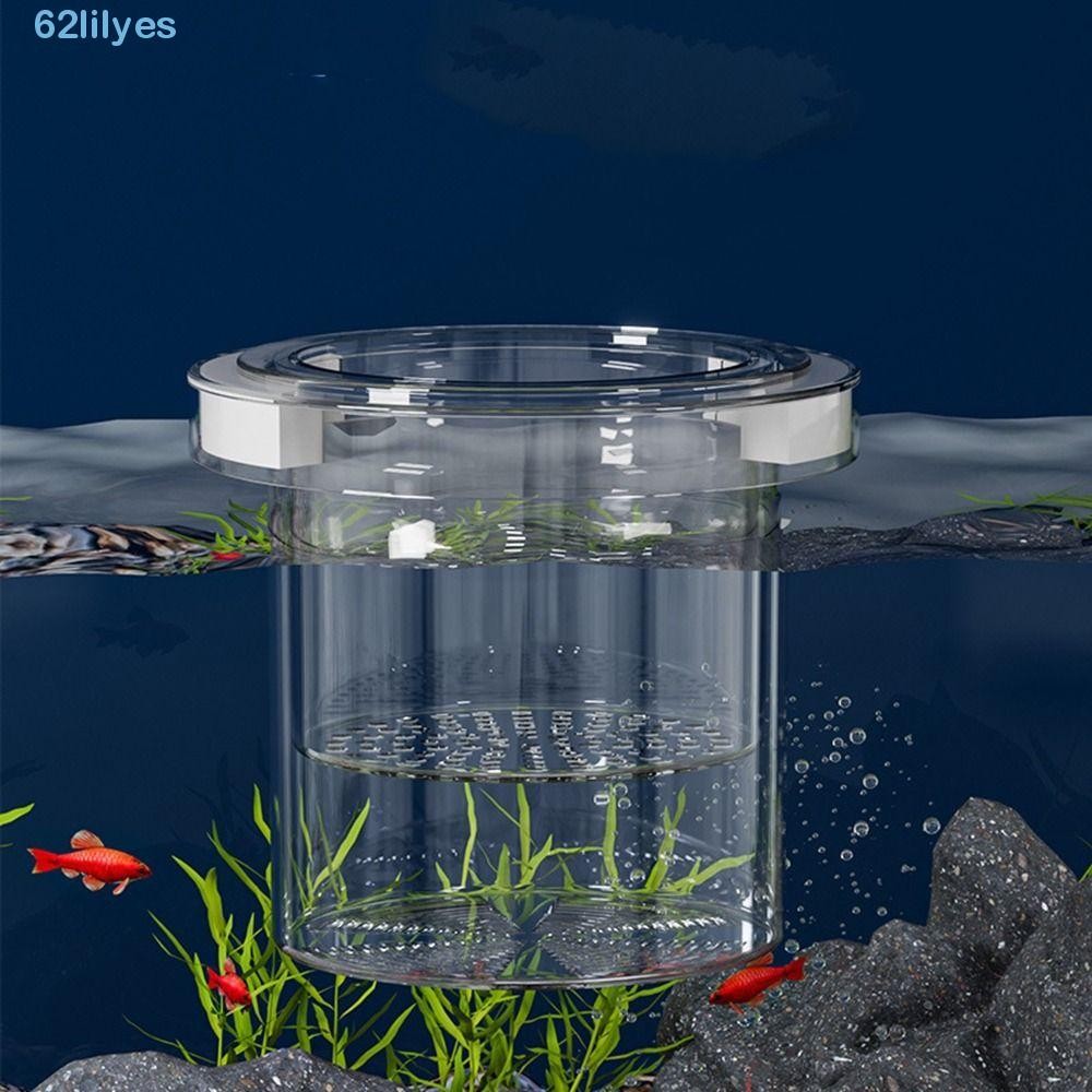 LILYES Floating Fish Breeding Isolation Box, Acrylic Suspension ...
