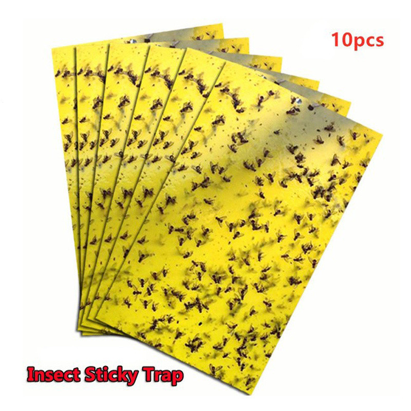 10Pcs Double-sided Mosquito Glue Board Traps Insects Catcher Killer ...