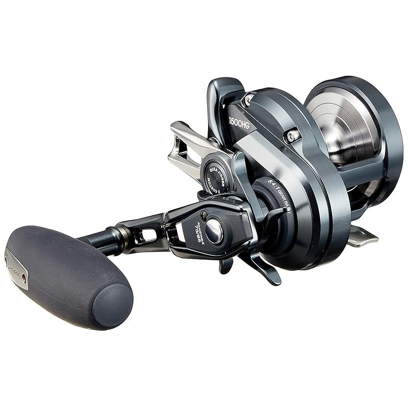 SHIMANO OCEA JIGGER 優しく F CUSTOM 1000HG