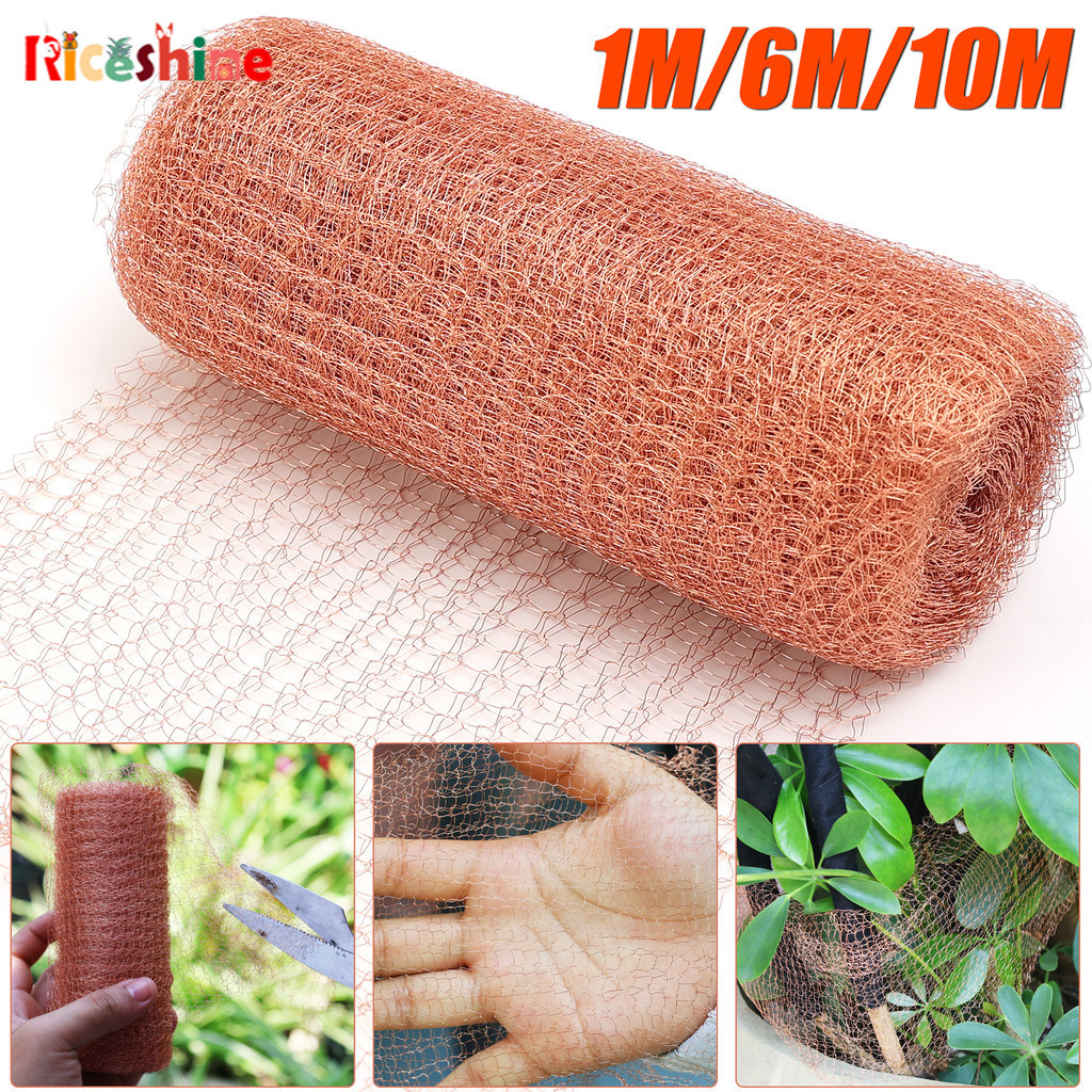 Multipurpose Simple Home Copper Wire Mesh - Reliable Durable Garden ...