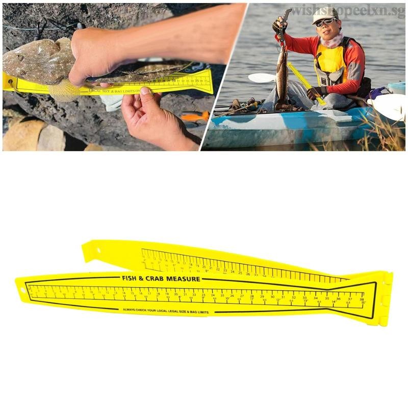 [Ready To Ship] Fish Ruler Marine Fishing Measurement 31inch/80cm Easy ...