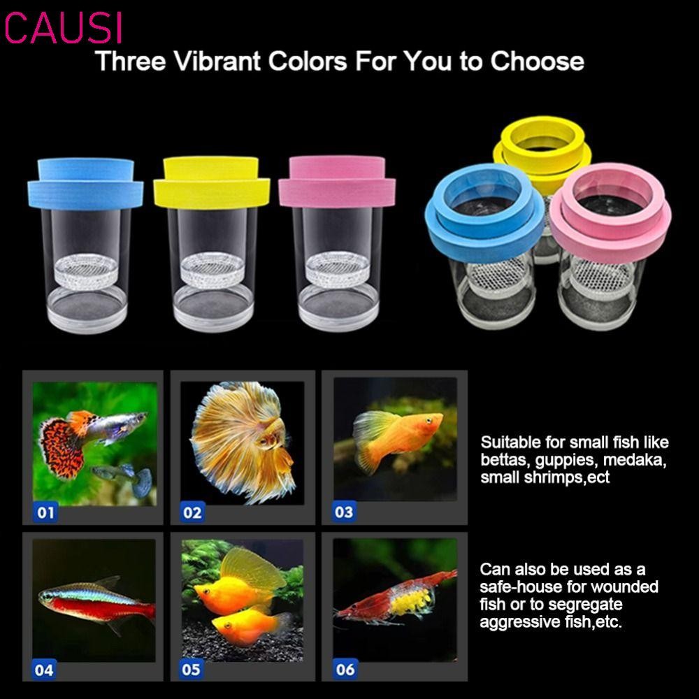 CAUSI Floating Hatching Box, Aquarium Breeder Plastic Mesh Floating ...