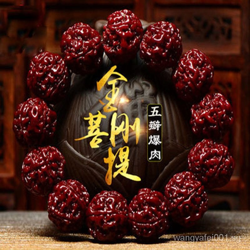 Nepal Five Or Six Petals20mm Rudraksha Machine Brushed Patina Big ...