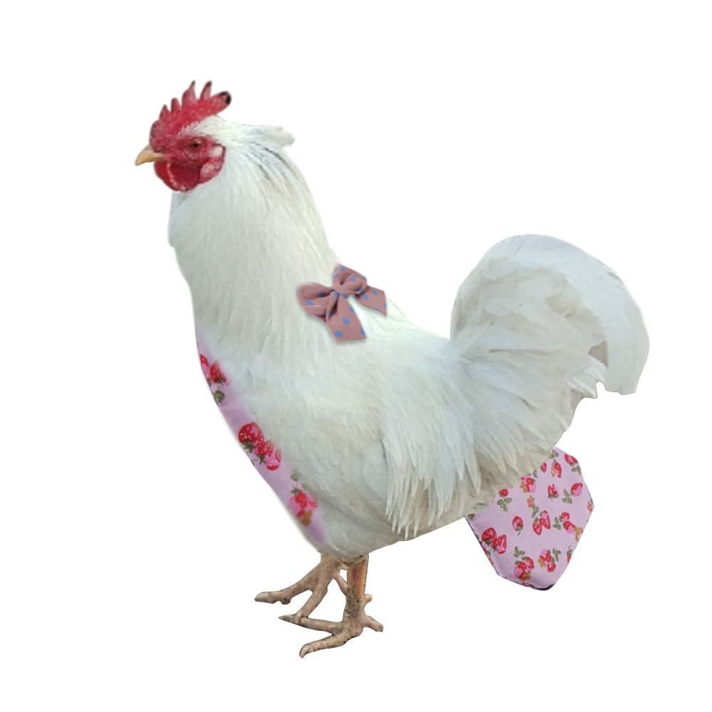 Pet Chicken Dungs Diapers Diapers Pet Clothes Diapers Clothes Diapers ...
