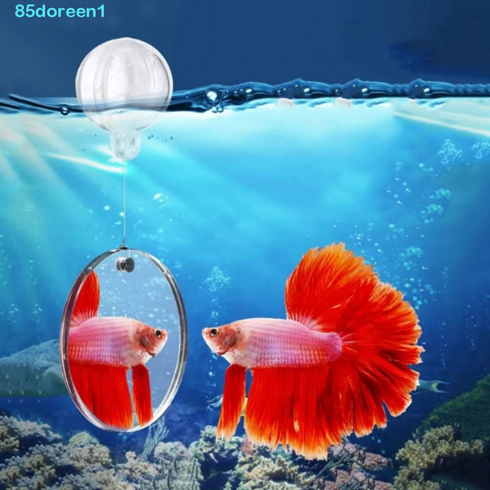 DOREENJ Fish Training Mirror, Decorative Round Aquarium Betta Mirror ...