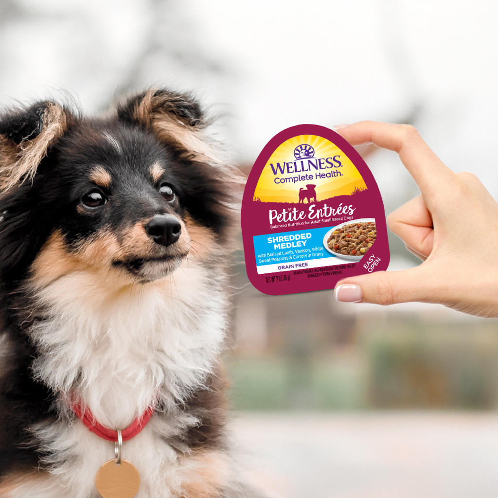 Wellness Complete Health Petite Entrée Wet Dog Food 3oz Shopee