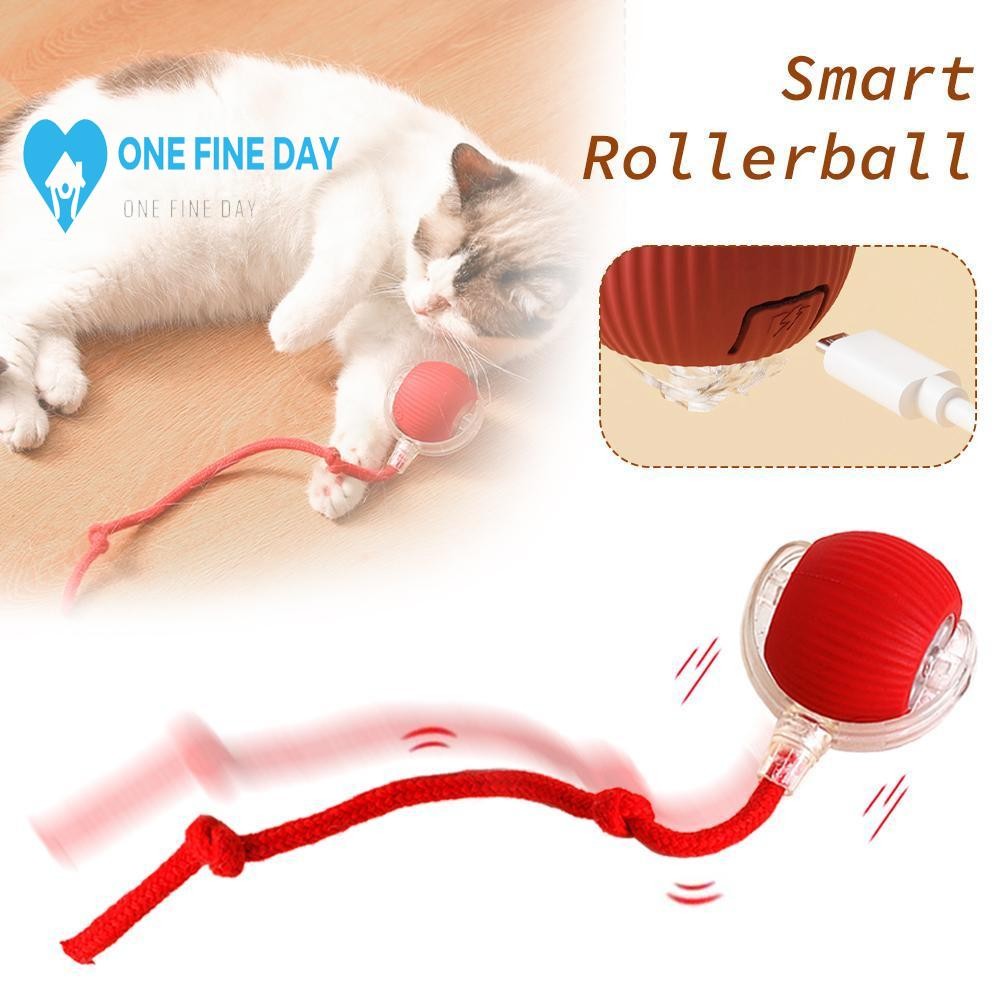 Interactive Cat Toy Ball Drive Cat Rolling Balls With Bird Chirping Motion Activated Sensor C4z5 Shopee Singapore