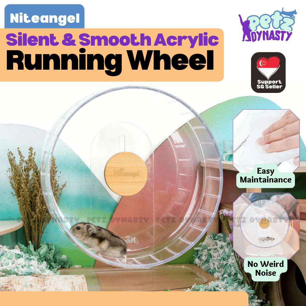 Niteangel Hamster Acrylic Running Wheel – Exercise Super Silent Toy ...