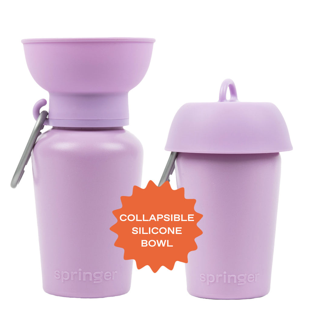 Springer Flip Dog Travel Bottle (6 colours) | Shopee Singapore