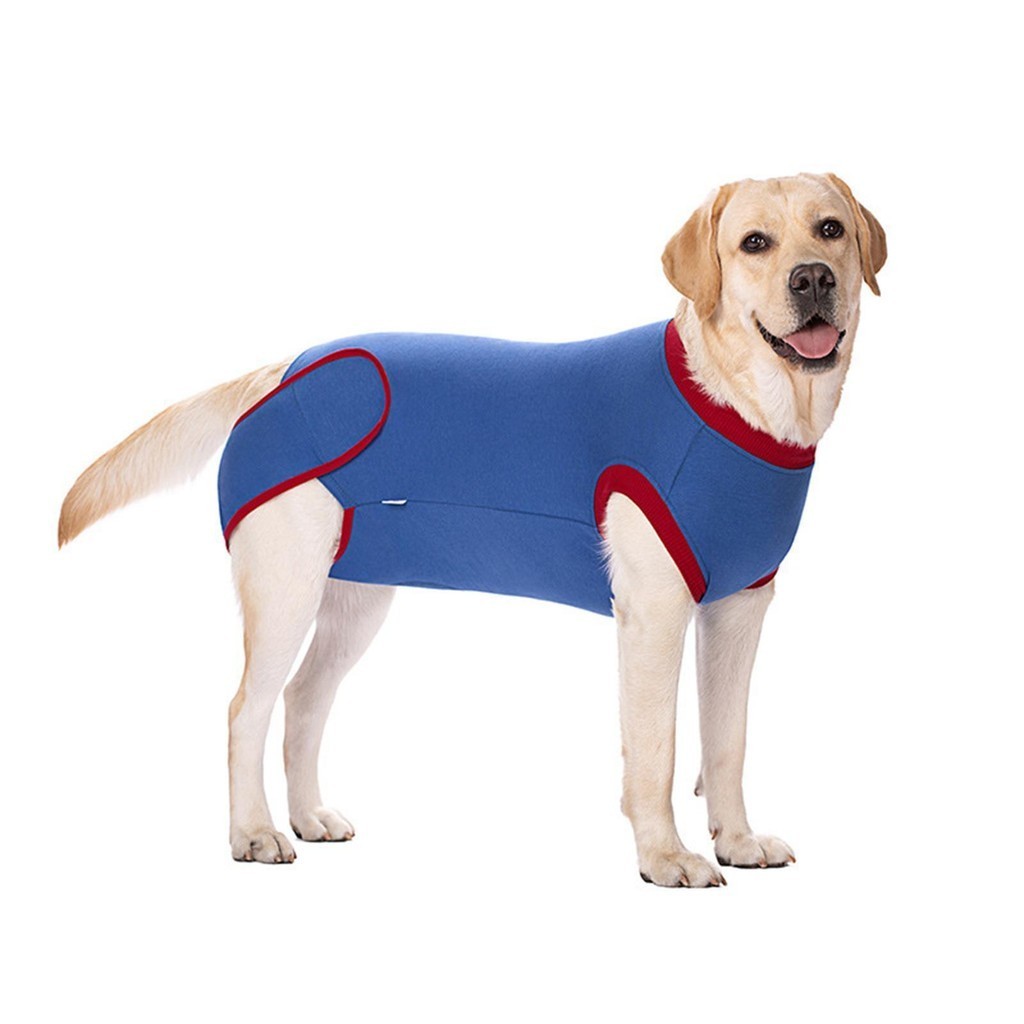 Almencla21 Pet Dog Recovery Shirt Suit Comfortable Pet Supplies Abdominal Wounds Prevent Licking after Surgery Wear Blue
