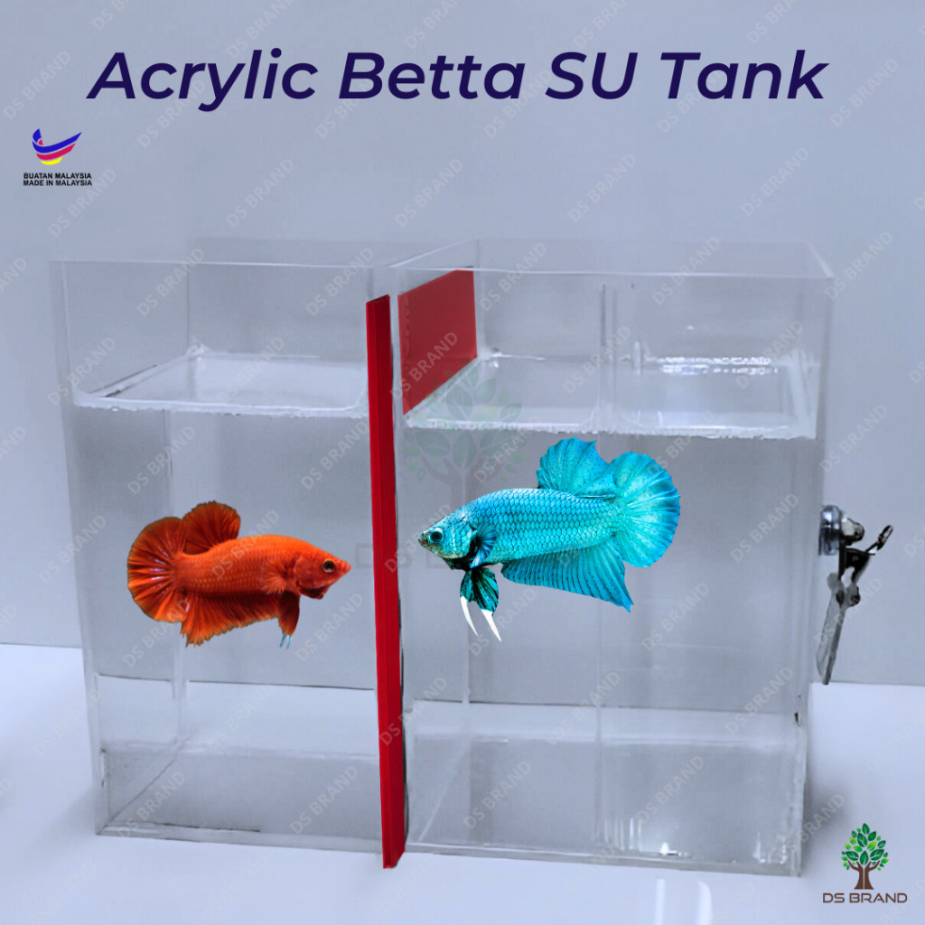 Betta Fish Block Divider Betta Fish Tank/ Betta Tank Acrylic/ Training ...