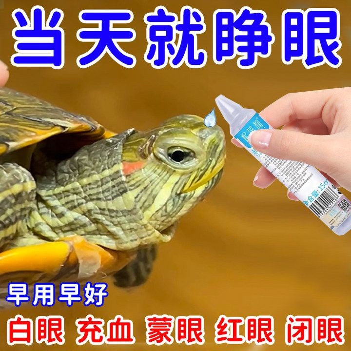 Turtle Eye Open Medicine White Eye Turtle White Eye Disease Dedicated ...