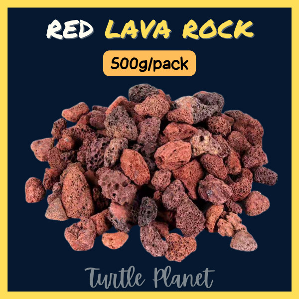 Aquarium Red Lava Rock Batu Pasir Malang Bio Filter Media Succulent ...