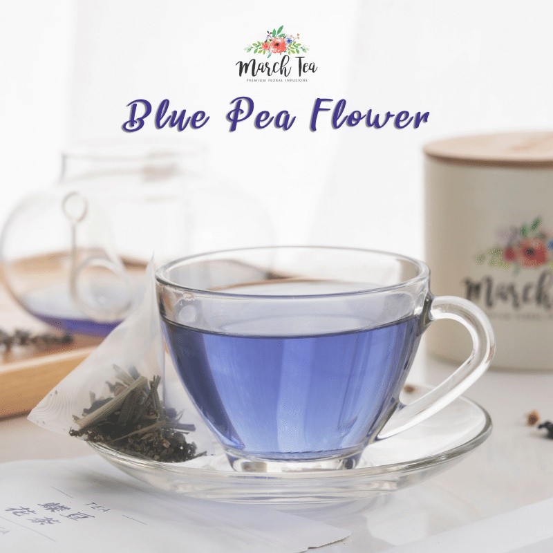 [March Tea]PREMIUM FLORAL INFUSIONS Blue Pea Flower Tea x10 sachets ...