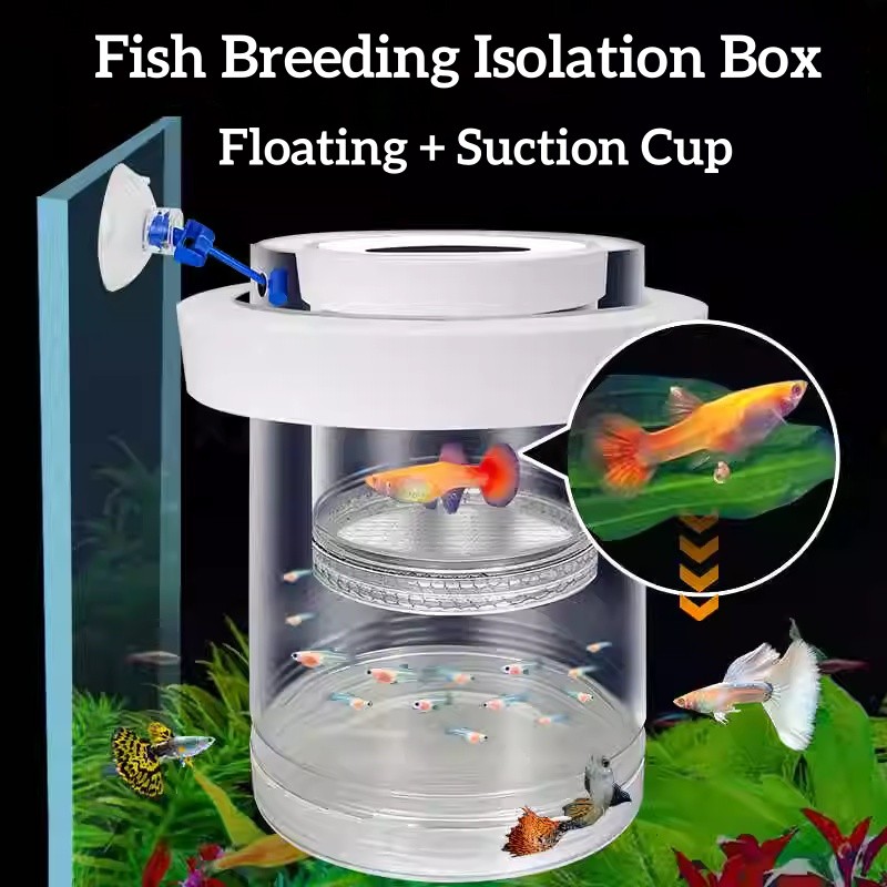 Plastic Floating Aquarium Breeding Isolation Bowl Fish Shrimp Hatching ...
