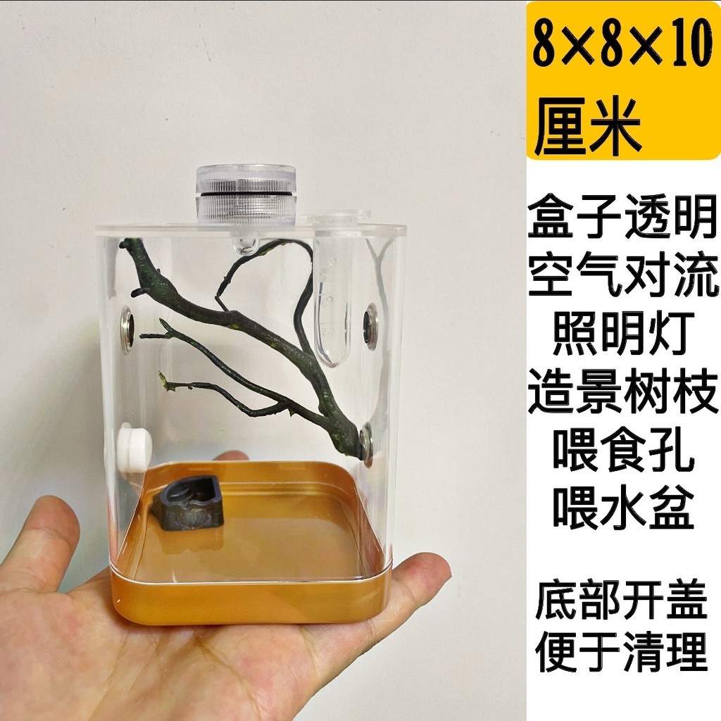 Jumping Spider Breeding Box Insect Sound Box Mantis Box Cricket Jar ...