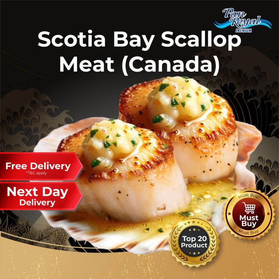 [PAN ROYAL] Frozen Canada Scotia Bay Scallop Meat (1kg +/-) | Shopee ...