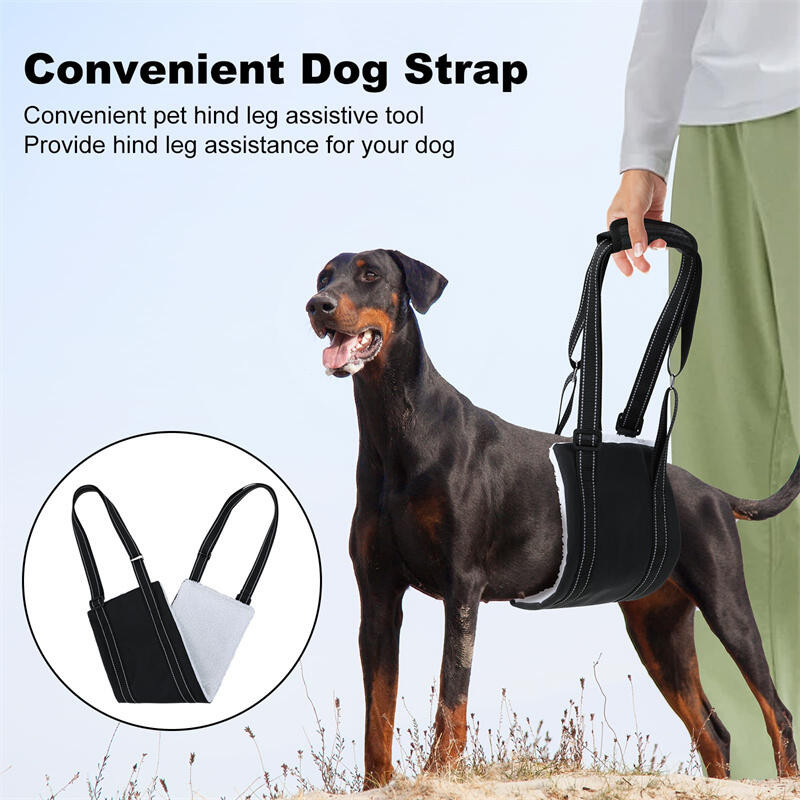 Dog Lift Harness Adjustable Dog Sling for Back Legs Support Rehab ...
